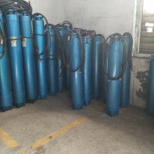  山東省莘縣九州微型泵廠 主營(yíng) 微型深井泵