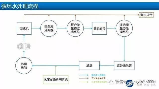 工廠化水產養(yǎng)殖 技術革新背后的“人”本設計與可持續(xù)發(fā)展